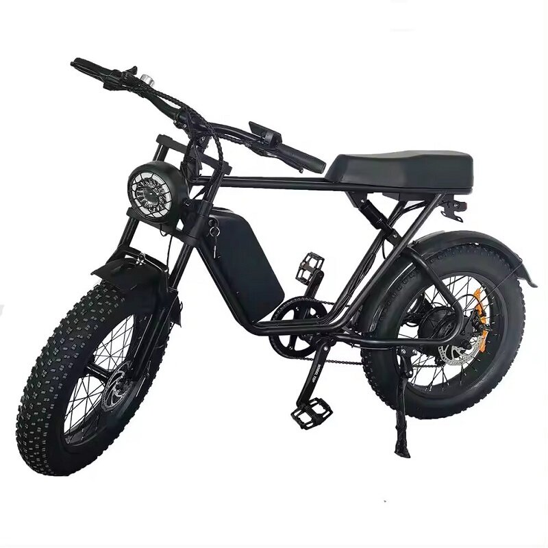 Bicicleta eléctrica de montaña híbrida, llanta ancha de 750W, 48V, 1000W, precio asequible