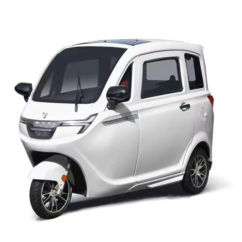 Tricycle électrique pour adultes, véhicule à 3 roues, scooter de mobilité familiale, voiture Tuk Tuk à vendre, broderie personnalisée, nouveauté 100%