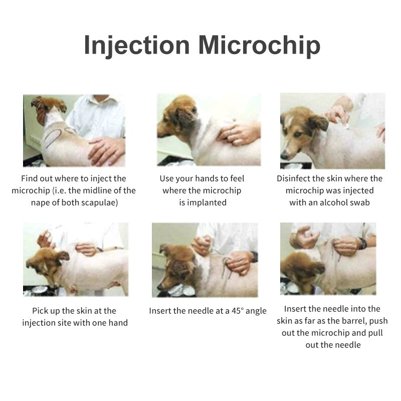Microchip animal de estimação da injeção de FDX-B rfid para a identificação do gato do cão 20 pces animal de estimação do implante da identificação da seringa iso11784/85