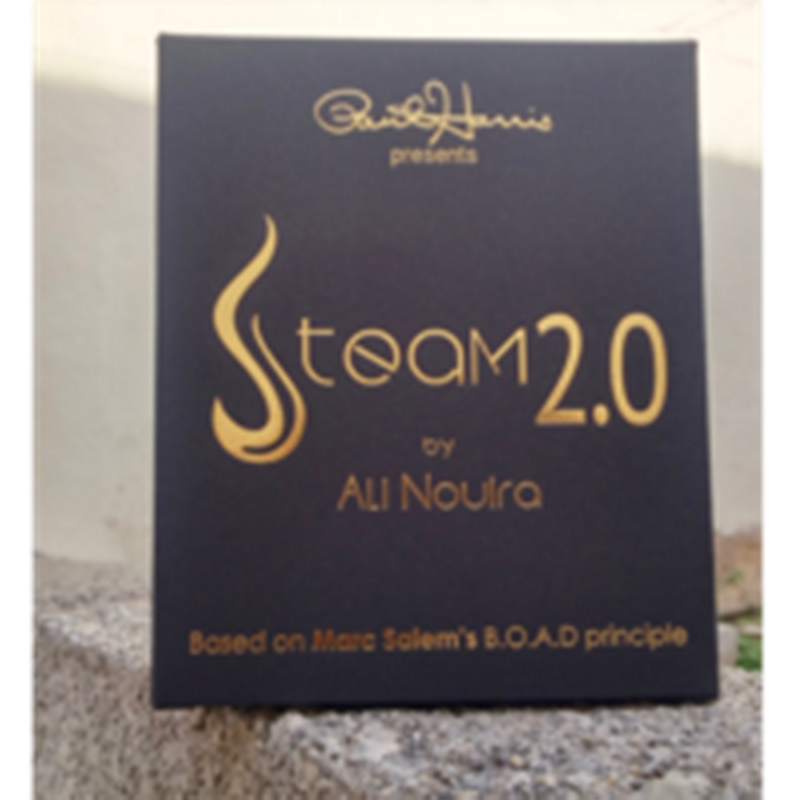 Steam 2,0 de Ali Nouira (descarga instantánea)