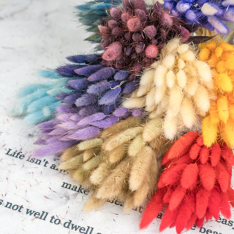Buy 2 free shipping High Quality Natural Dried Flower Rabbit Tail Pampas Reed Dried Bouquet Wedding Party Decoration Plants