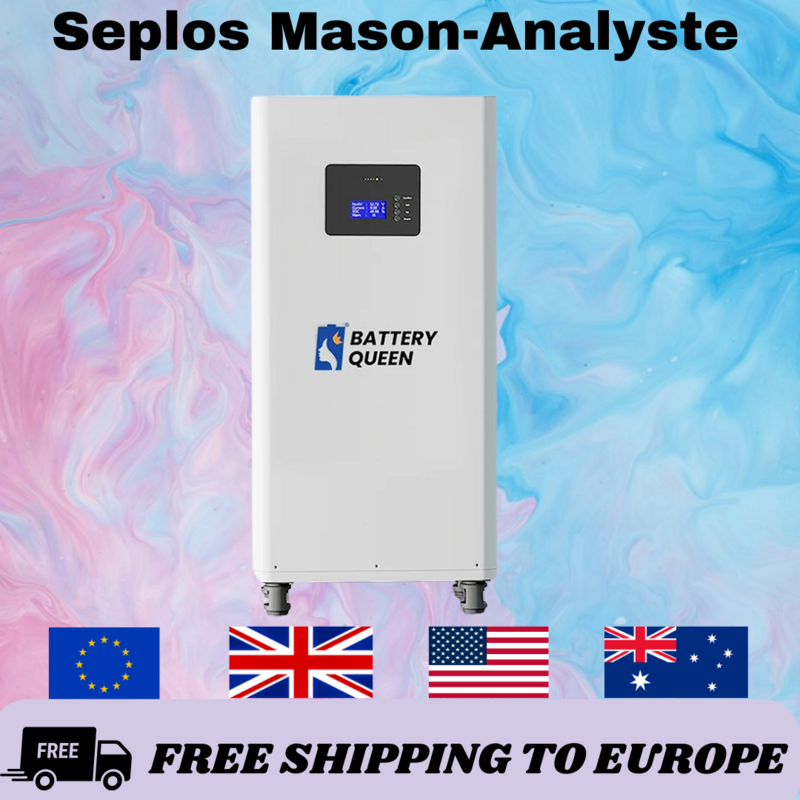 Seplos Mason-Analyste de bricolage, cher boîtier d'assemblage de batterie, batterie veFePO4, BMS intelligent avec LilRs485 pour