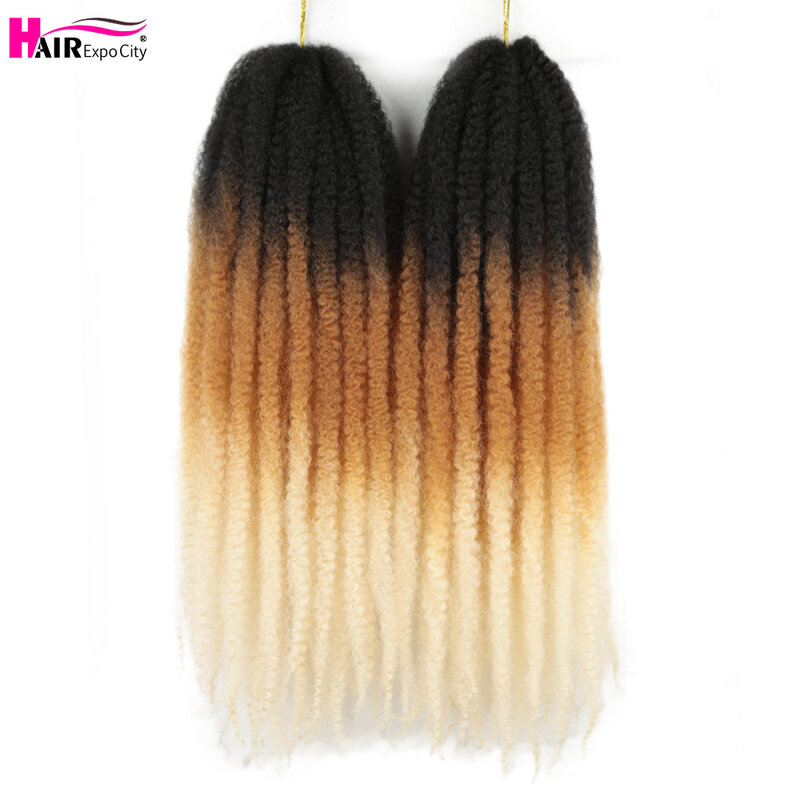 Marley Twist-trenzas de ganchillo de 24 pulgadas, cabello sintético largo Afro rizado para giros, extensiones de trenzado, Expo City