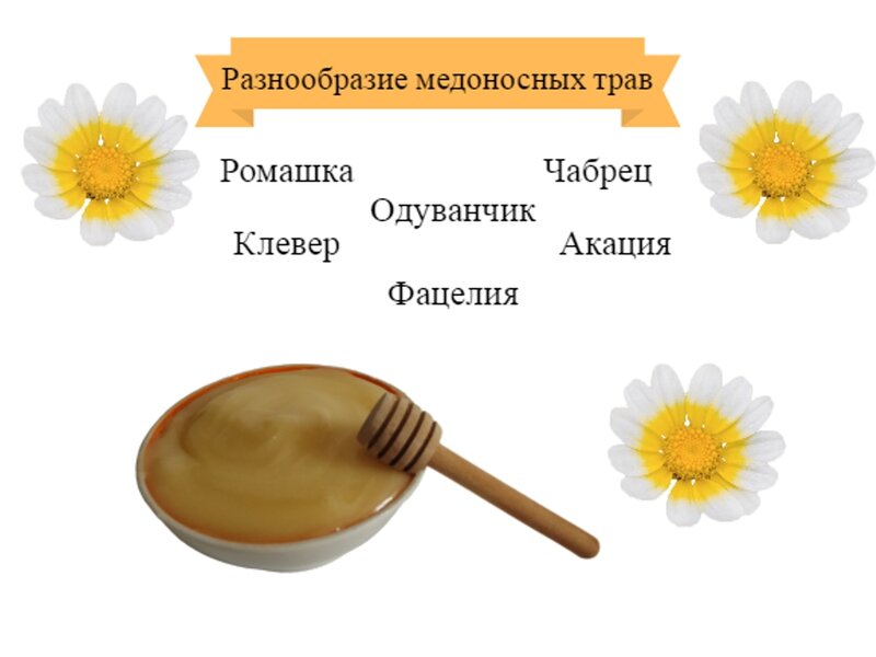 Мед Натуральный Алтайский Цветочный 1500гр  сбор 2023г