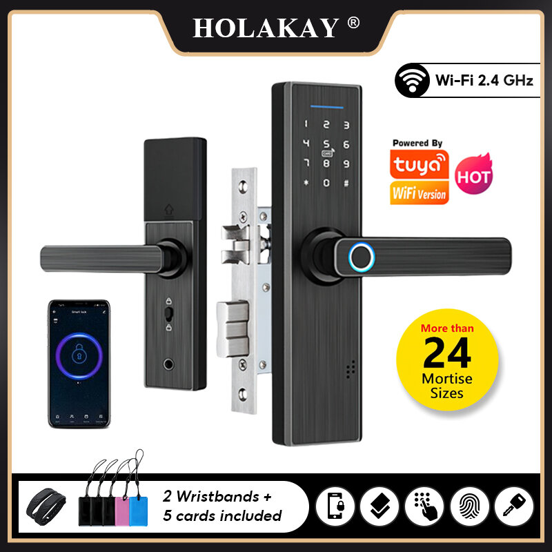 HOLAKAY-Wi-Fi付き電子ドアロック,生体認証指紋付き,スマートカード/パスワード/キーロック解除