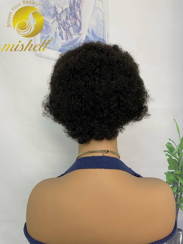 6 inch Afro Kinky Curly Human Hair Wigs with Braids 250% Density 13x4 Transparent Lace Short Curly Bob Wigs for Women PrePlucked