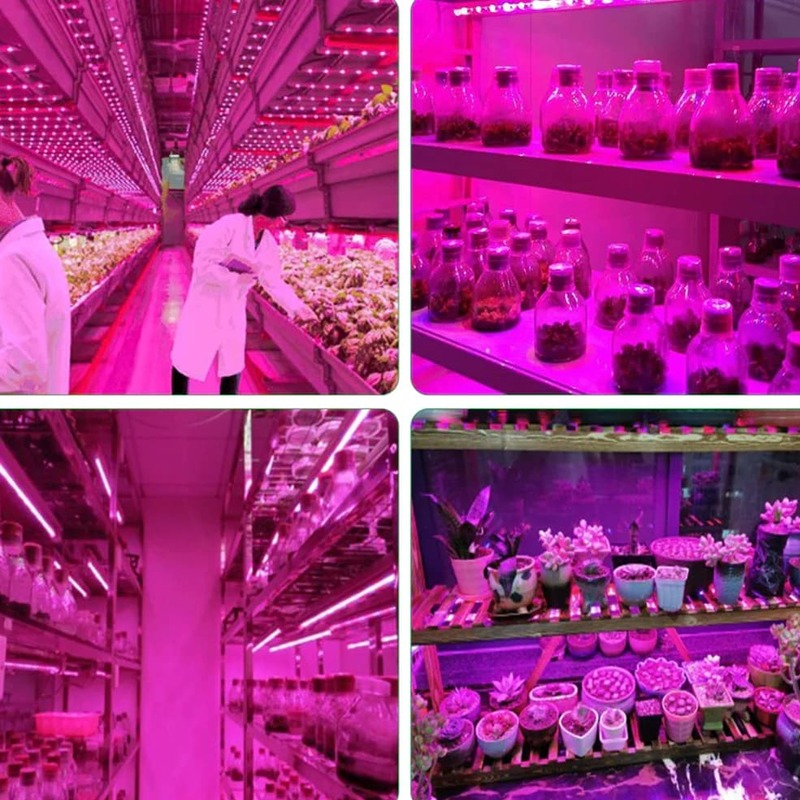 Phyto-lampe Led à spectre complet pour culture de plantes, USB, 5V, 1m/2m/3m, bande pour éclairage de serre/chambre de culture hydroponique de graines