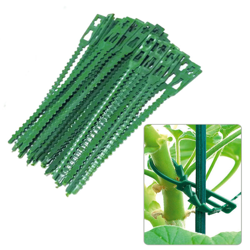30/50/100/200Pcs fascette per cavi da giardino riutilizzabili supporto per piante alberi di fissaggio bloccaggio per alberi fascette in plastica regolabili in Nylon strumenti