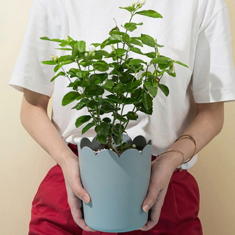 80% Hotflowerpot Alle Match Felgekleurde Plastic Bloemblaadje Rand Grote Opening Bloem Planter Voor Home