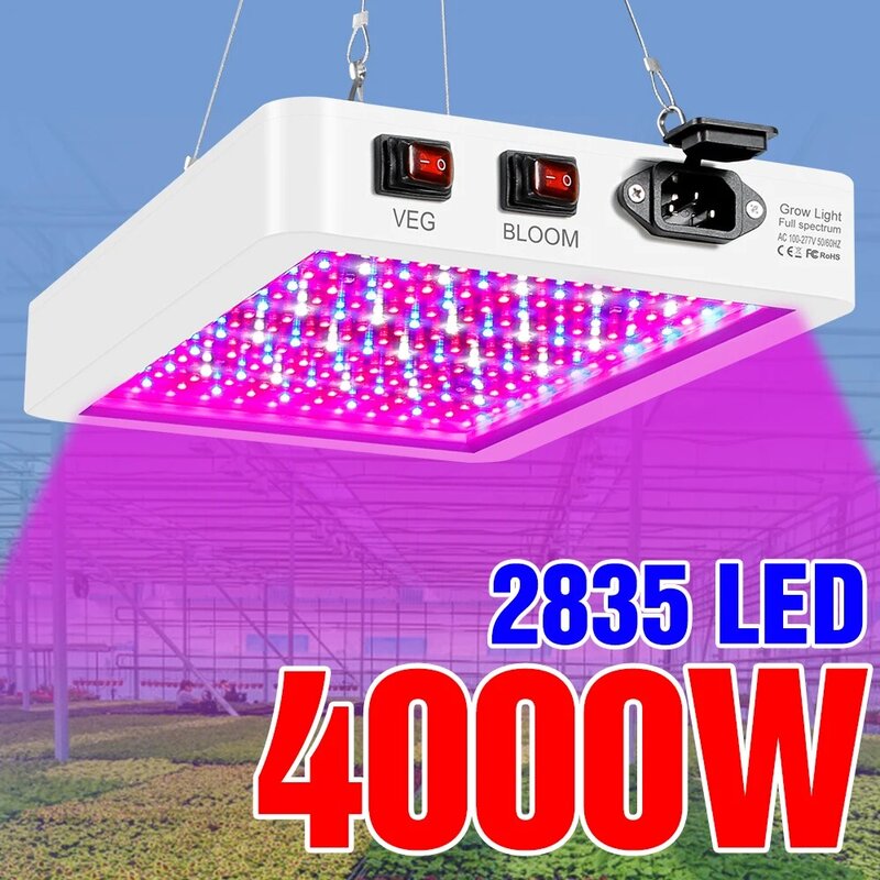 Luz LED de espectro completo para cultivo de plantas, lámpara hidropónica de 220V y 110V, lámparas Fito para invernadero, caja de iluminación para crecimiento de flores, 4000W y 5000W