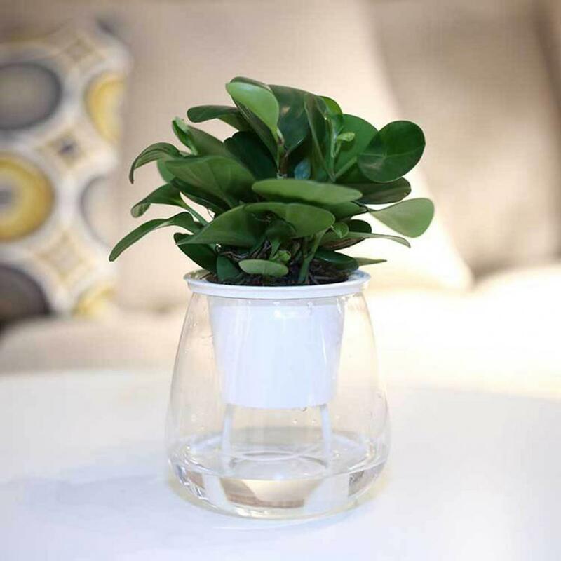 Vaso de flores auto-irrigação, pote de plantas transparente de plástico prático para casa
