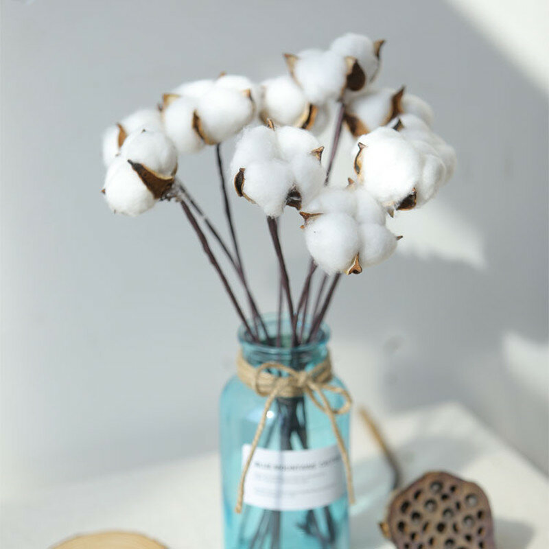 1 cabeças de algodão seco hastes natural artificial flor decorativa festa casamento casa sala estar ramo longo