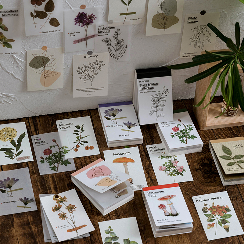 빈티지 아름다운 식물 레트로 카드 크래프트 카드 50 장, 데코 문구 로모 카드 문구 메모장 스티커 메모