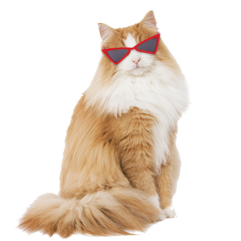 Kacamata Hitam Modis Hewan Peliharaan Kacamata Segitiga Kucing untuk Kucing Kecil Anjing Kacamata Eye-Wear Indah Kucing Lensa Hewan Peliharaan Aksesori Foto Prop