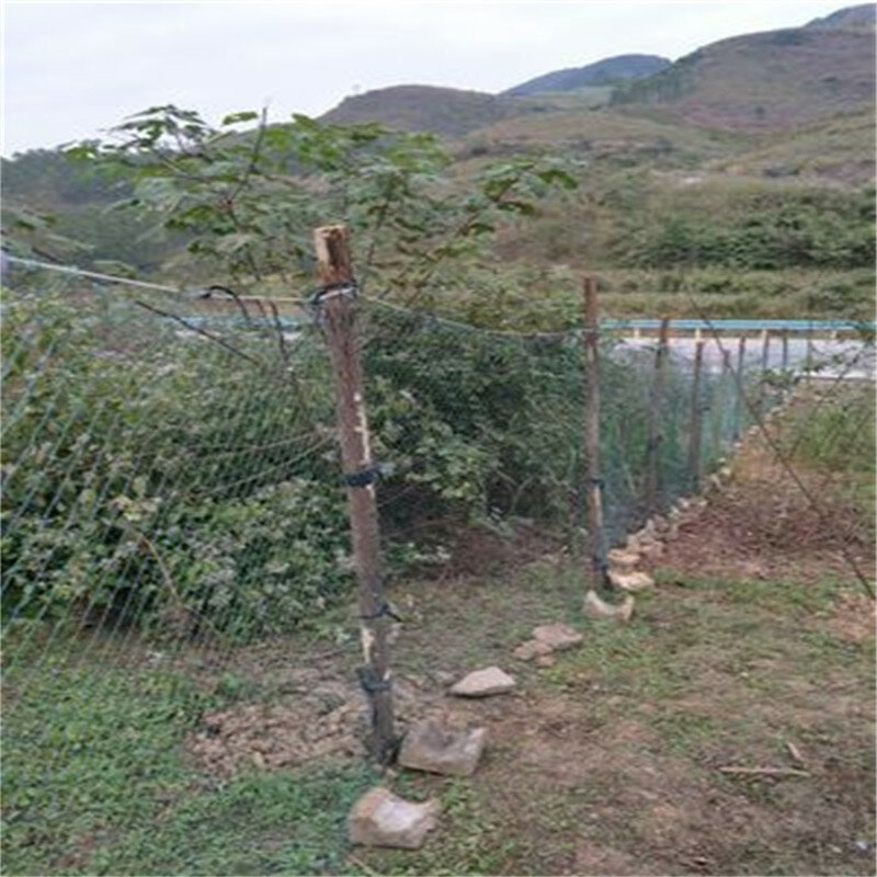 Rete protettiva da giardino rete di sicurezza durevole recinzione da giardino rete di protezione agricola staffa per arrampicata di fiori con rete di pollo e anatra