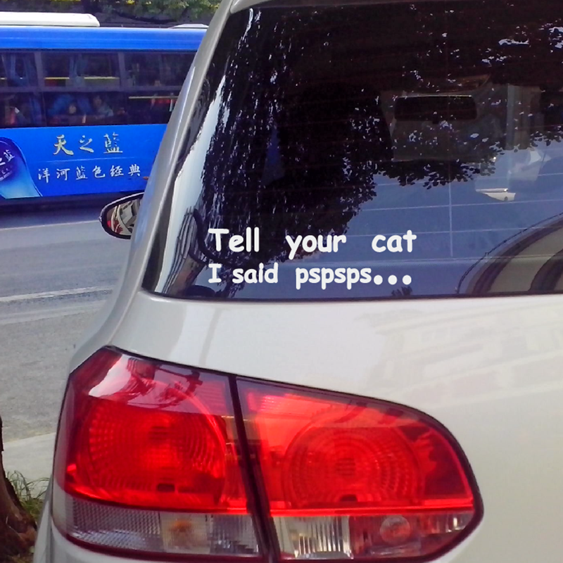 Texte drôle dites à votre chat que j'ai dit PSPSPS vinyle réfléchissant autocollant de voiture et décalcomanies moto 20cm x 6cm