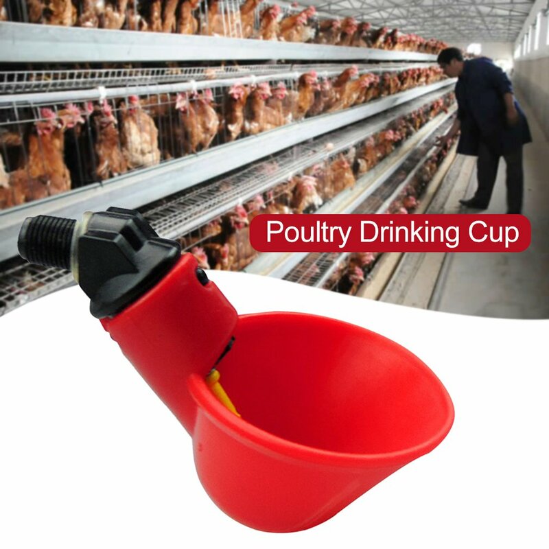 1PC Fully Automatic Poultry Drinking Cup Chicken Pigeon Waterer Water Saving Durable Drinking Bowl Poultry Feeder
