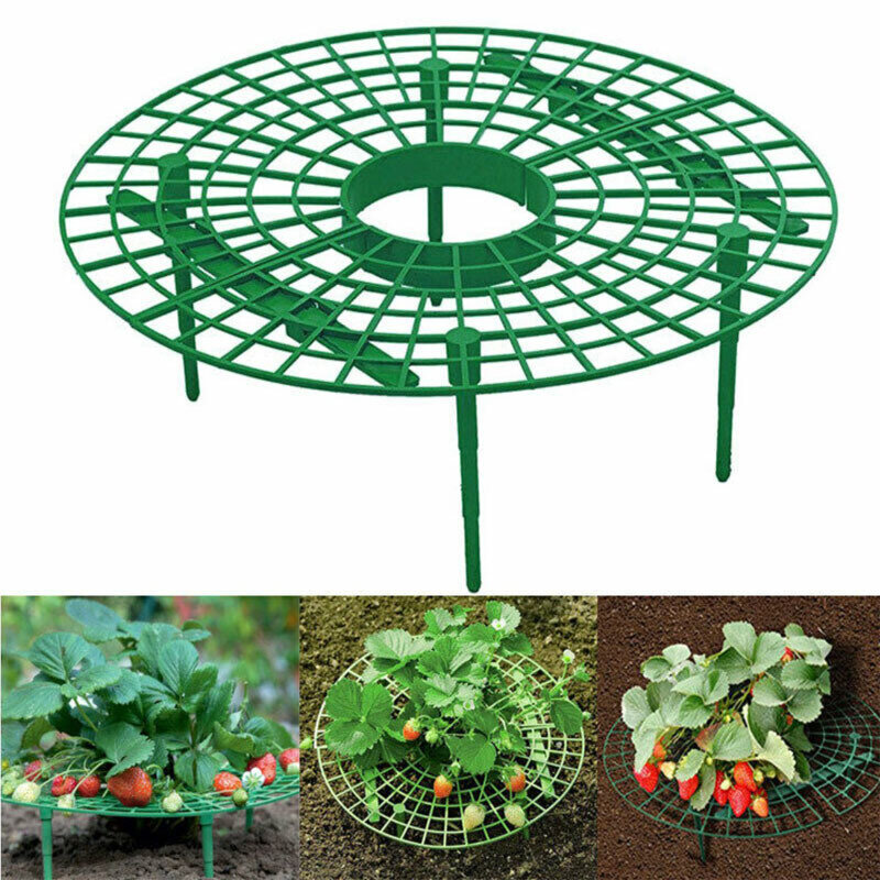 Пластмассовый инструмент для выращивания клубники, 8 шт./компл., поддерживающая стойка, рамка для сельского хозяйства, садовые клетки для ви...