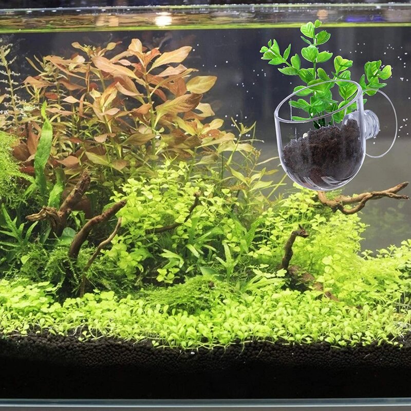 Dekorasi Akuarium Pot Cangkir Tanaman Akrilik Cangkir Rumput Air dengan Pegangan Isap Mini Vas Berkebun Pengumpan Cacing Merah untuk Tangki Ikan