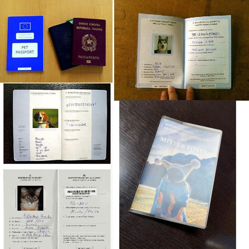 Аксессуары для путешествий товары для домашних животных Обложка для паспорта Европейская Обложка для паспорта для собаки кошки