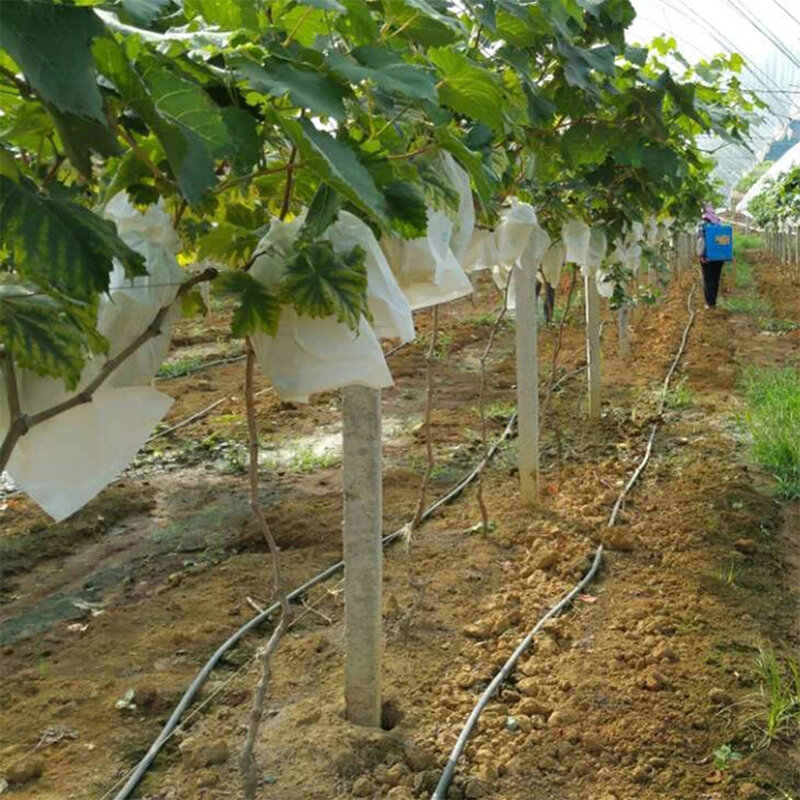 100pcs Garden Strawberry Grapes Fruit Protection Bags Cover Plant Nursery Bag Pest Control Anti-Bird Mesh Bag Gardening Protect
