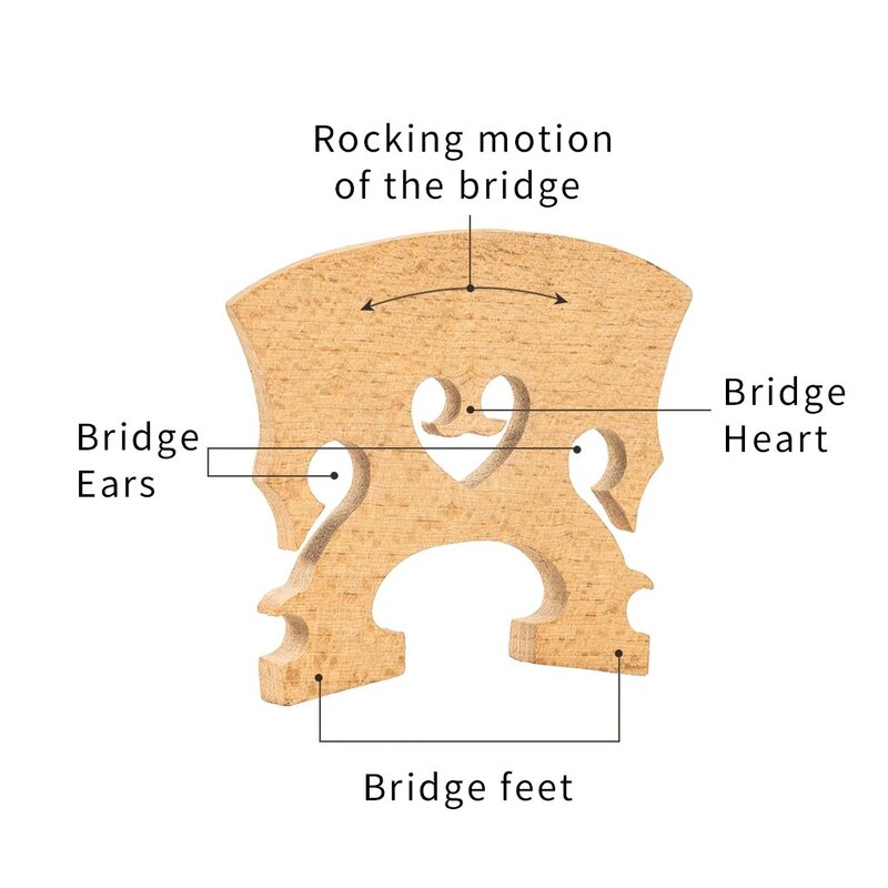 كمان جسر القيقب القياسي ، باس كلاسيكي ، من أجل ، من من من من من من من من من من من ؟ ، ، ، الحجم ، 1