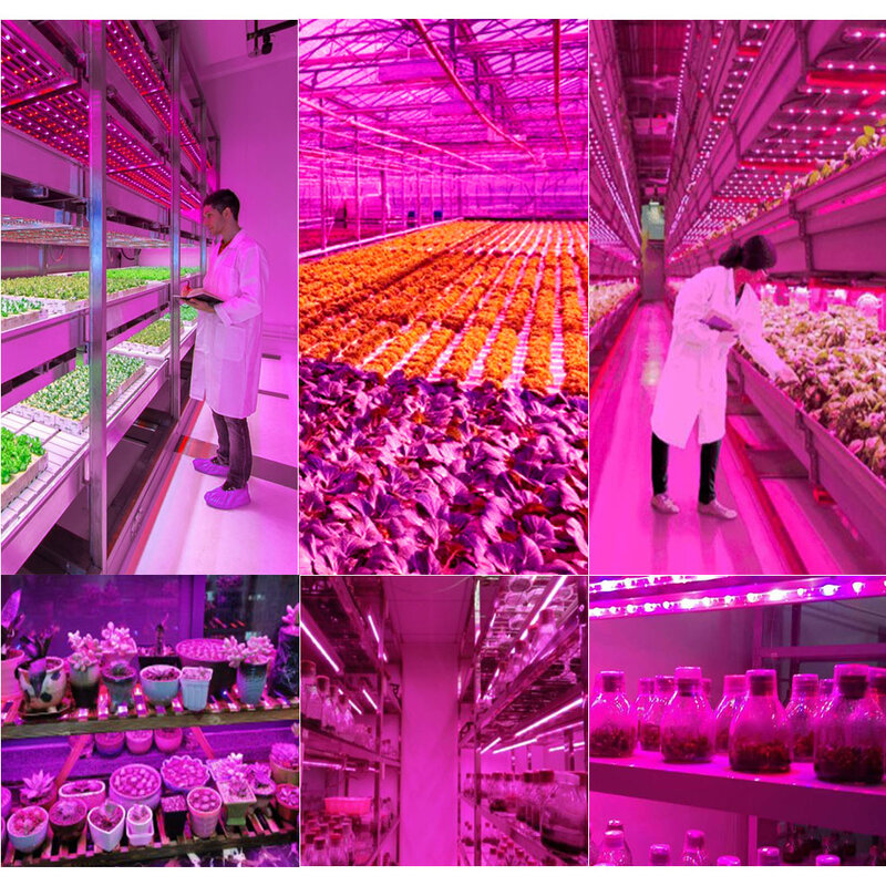 Tira de luces LED de espectro completo para cultivo de plantas de interior, USB, 0,5 m, 1m, 2m, 3m, 4m, 5m, 2835 DC5V