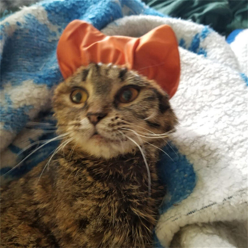 Topi Mandi Mandi untuk Kucing Lapisan Tahan Air Ganda Topi Mandi Mandi Anjing