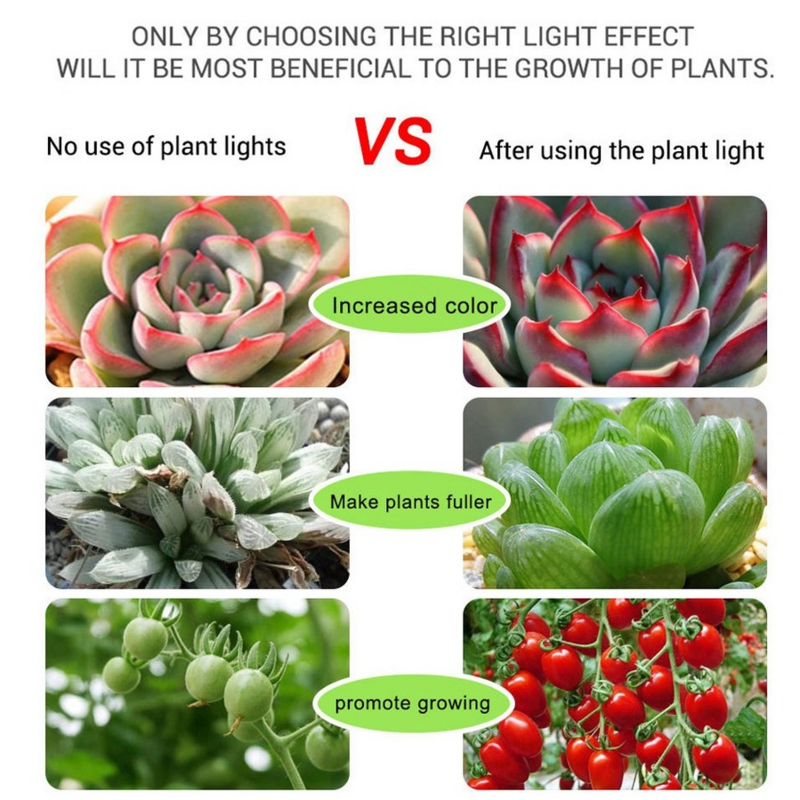 Tira de luz para cultivo de plantas de interior, lámpara LED de crecimiento de semillas de flores, espectro completo, luces Fito, USB hidropónico, CC, USB, 5v, 1M, 2M, 3M