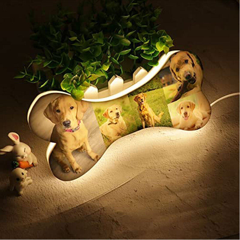 Capybara Silicone Night Light Cute Animal Rechargeable Lamp Adjustable  Brightness Timing Rechargeable Sleep Night Lamp Kids Room - AliExpress