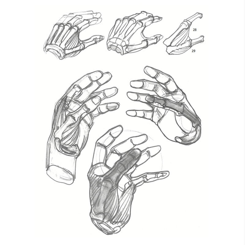 New Understanding Human Form Zero Base piękne wzory Beginner Self-study Book Sketch libros
