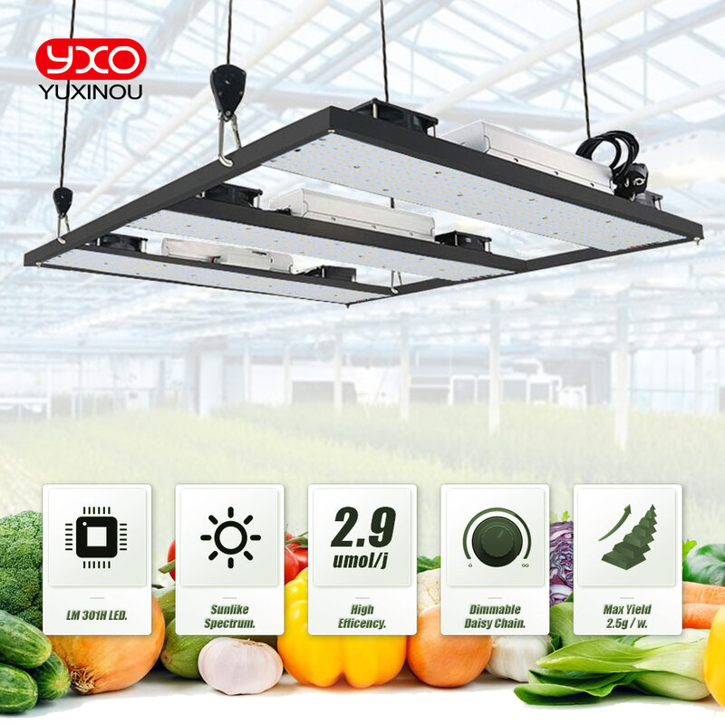 Sam-ng-Lampe horticole de croissance LED LM301h, 240/480/720W, spectre complet, éclairage pour culture intérieure de légumes et de fleurs