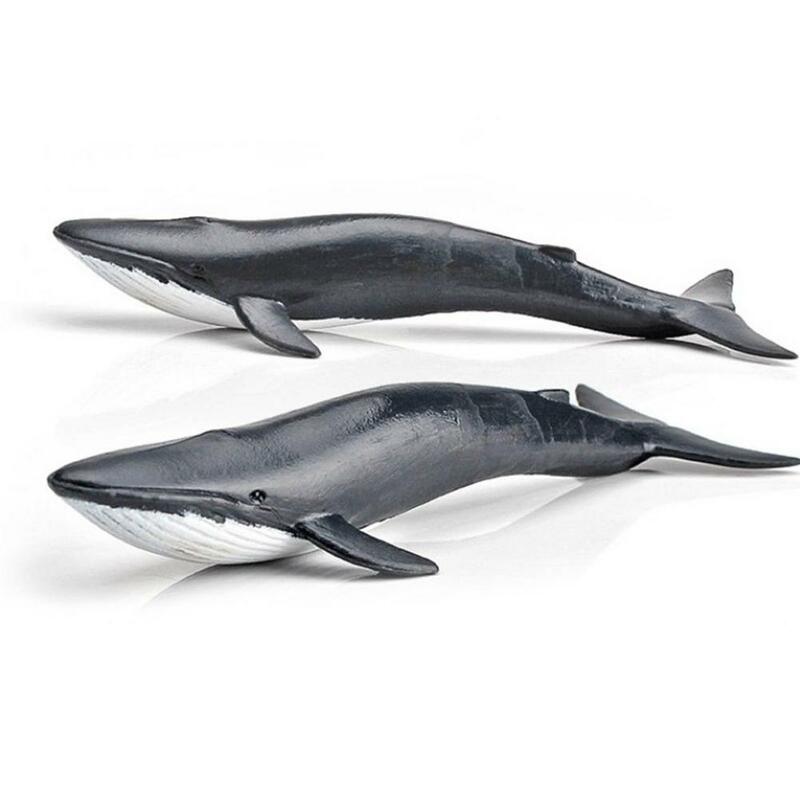 Mainan Hewan Laut Model Ikan Laut Realistis Mainan Figur Set Isi 12 Figur Bawah Laut Great White Shark Dolphin White Shar