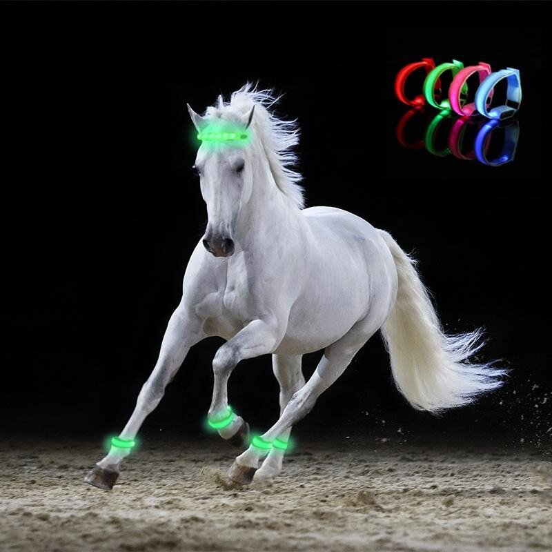 สายรัดขาม้าไฟ LED 4ชิ้นเข็มขัดรัดขากลางคืนอุปกรณ์ขี่ม้าอุปกรณ์กีฬากลางแจ้งอุปกรณ์ขี่ม้า