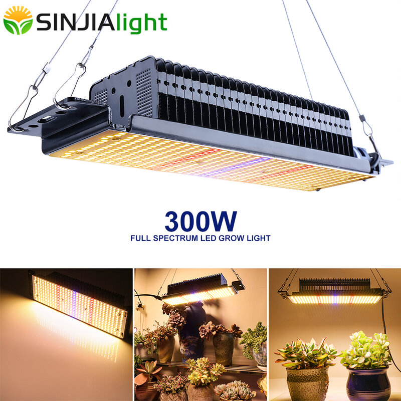 LED 성장 조명 전체 스펙트럼 식물 램프, 수경 식물 성장 상자, 실내 꽃 채소 묘목 온실, 300W