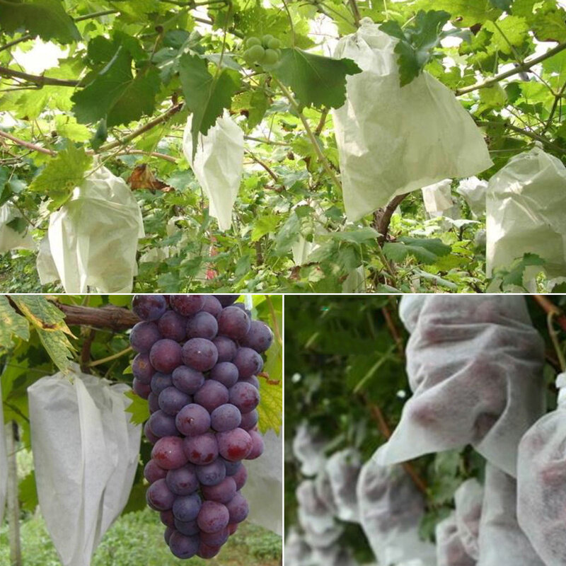 100 pçs frutas uva proteger sacos anti-pássaro inseto umidade net saco de criação ferramentas controle de pragas mosquito net planta cobre