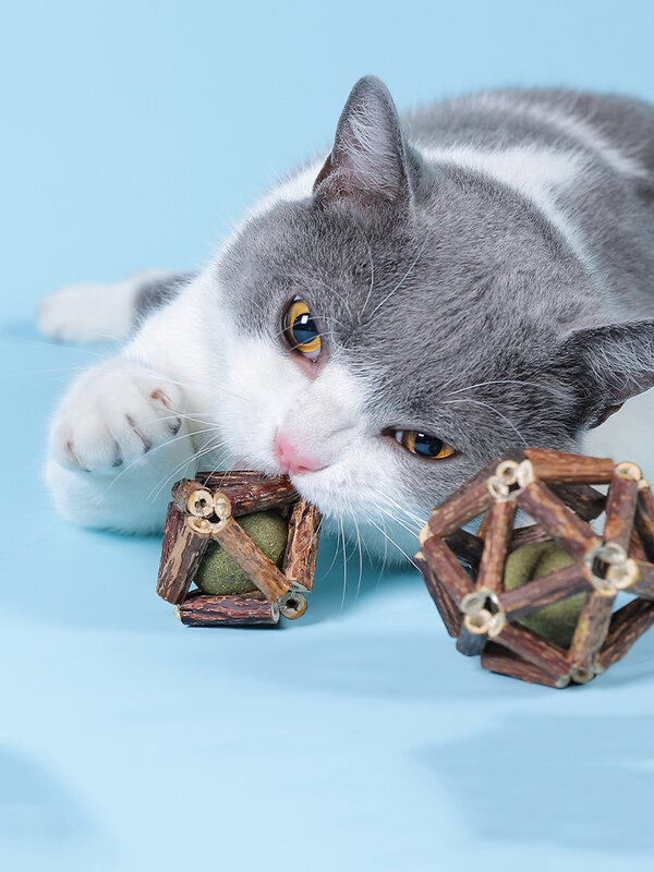 Tongkat Catnip Alami Bola Panjang dari Poligon Mutabilis Gigi Pembersih Kucing Stik Molar Bola Makanan Ringan Kucing Aksesori Hewan Peliharaan Mainan Kucing