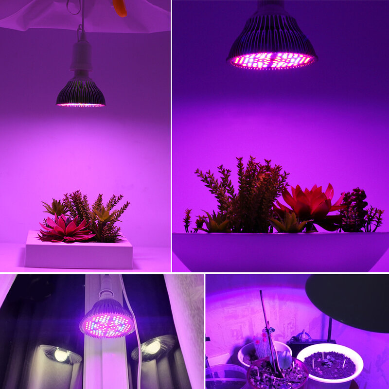 실내 식물용 LED 성장 조명, 전체 스펙트럼 290 LED 200, 온실 씨앗용 전구, 다육 및 녹색, E27