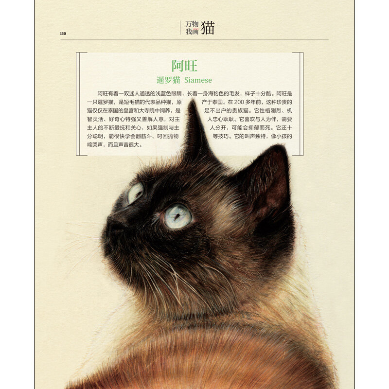Buku gambar pensil warna kucing baru 31 buku teknik gambar kucing indah buku panduan gambar dasar nol buku Tutorial untuk dewasa