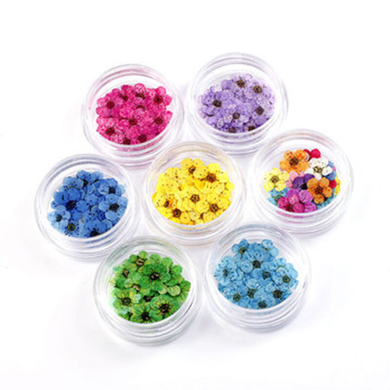 20pcs/box DIY Real Dried Flowers For Art Craft Epoxy Resin Candle Making Jewellery Simulation Decoration Holiday Party Supplies