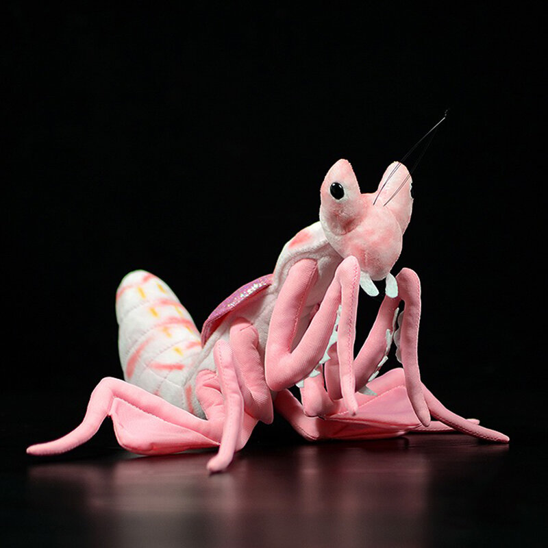 19ซม.ความสูงเหมือนจริง Pink Orchid Mantis ของเล่นตุ๊กตาชีวิตจริงนุ่มแมลงบาท Orchid Mantis ของเล่นตุ๊กตาสัตว์ตุ๊กตาของเล่นสำหรับเด็ก