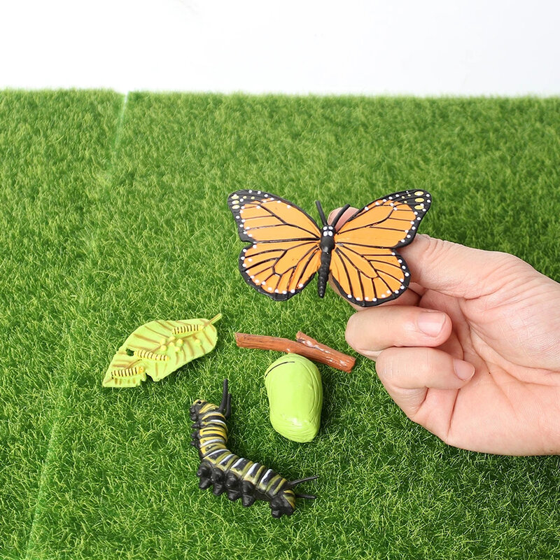 Modelos de plástico del ciclo de crecimiento de animales, figuras de acción de insectos, mariposa, estatuilla de ciclo de vida, simulación de animales, modelo de ciclo de crecimiento