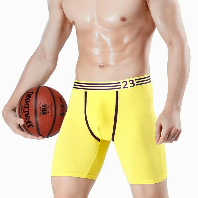 Boxer en coton à haute élasticité pour hommes, culotte taille moyenne, sous-vêtements troncs, jambe longue, lot de 2