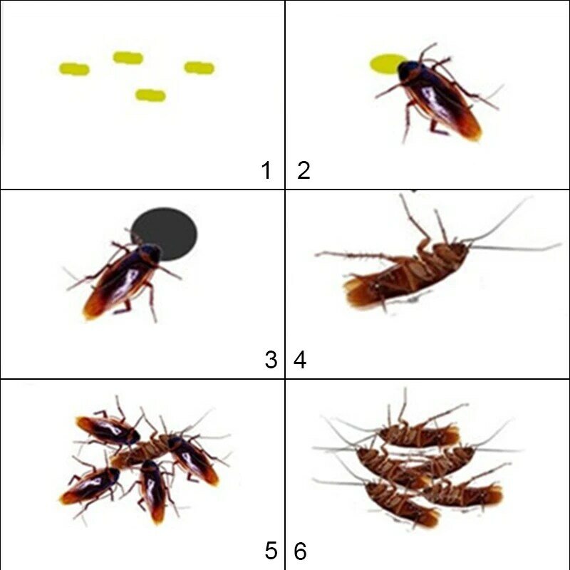 Neue 10Pcs Töten Kakerlake Insektizid Köder Pulver Töten Roach Insekt Roach Mörder Anti Pest Ablehnen Schädlingsbekämpfung Gift Falle