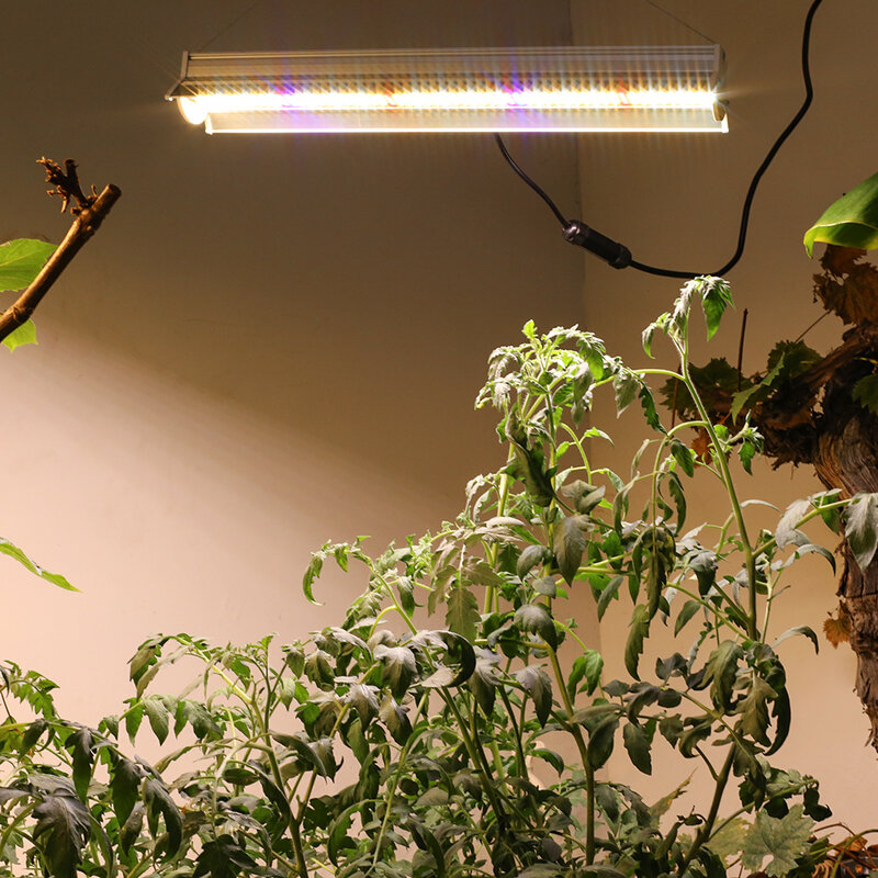 Lámpara Led de espectro completo para cultivo de plantas de interior, 560Led, 280W, tienda de campaña para invernadero