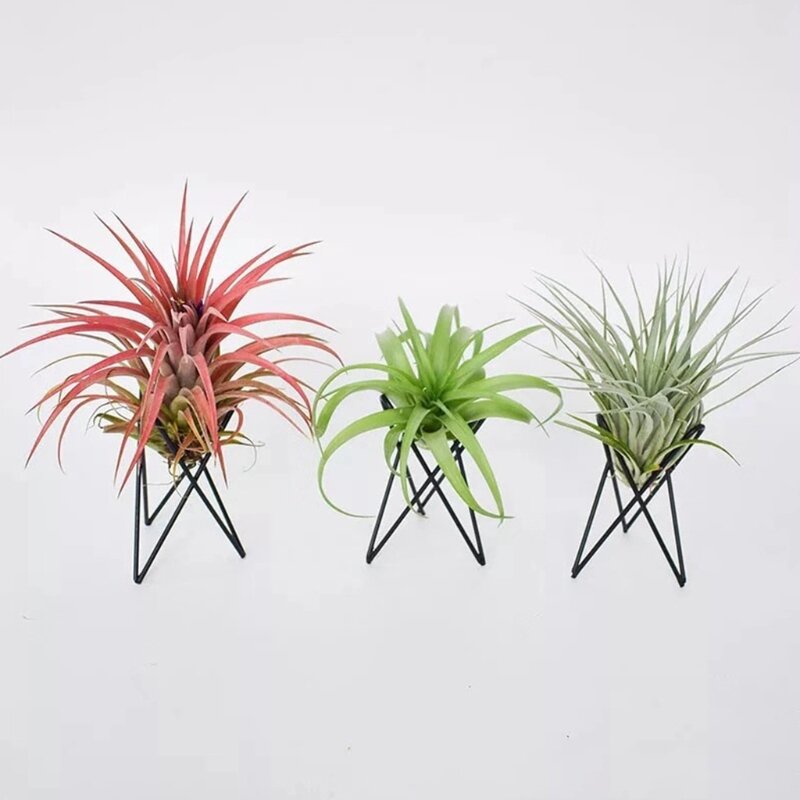 P82c suporte de planta de ar metal vaso de flores suporte de ferro geométrico tillandsia arte exibição casa jardim ornamentos