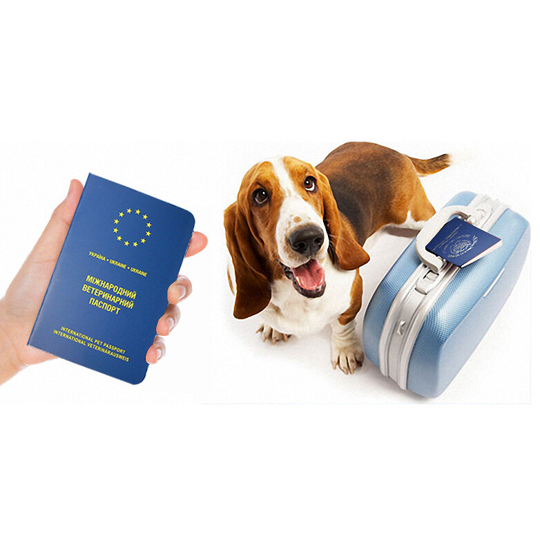 Phụ Kiện Du Lịch Thú Cưng Sản Phẩm Thú Cưng Da Hộ Chiếu Passport Cover Châu Âu Bao Da Hộ Chiếu Passport Cho Thú Cưng Chó Mèo