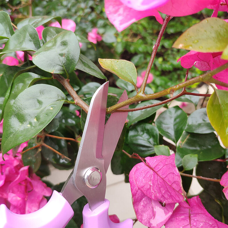Садовый секатор из нержавеющей стали, инструмент для обрезки деревьев, садовые ножницы, ножницы для сбора фруктов, маленькие ножницы для отделки сорняков, инструменты для садоводства