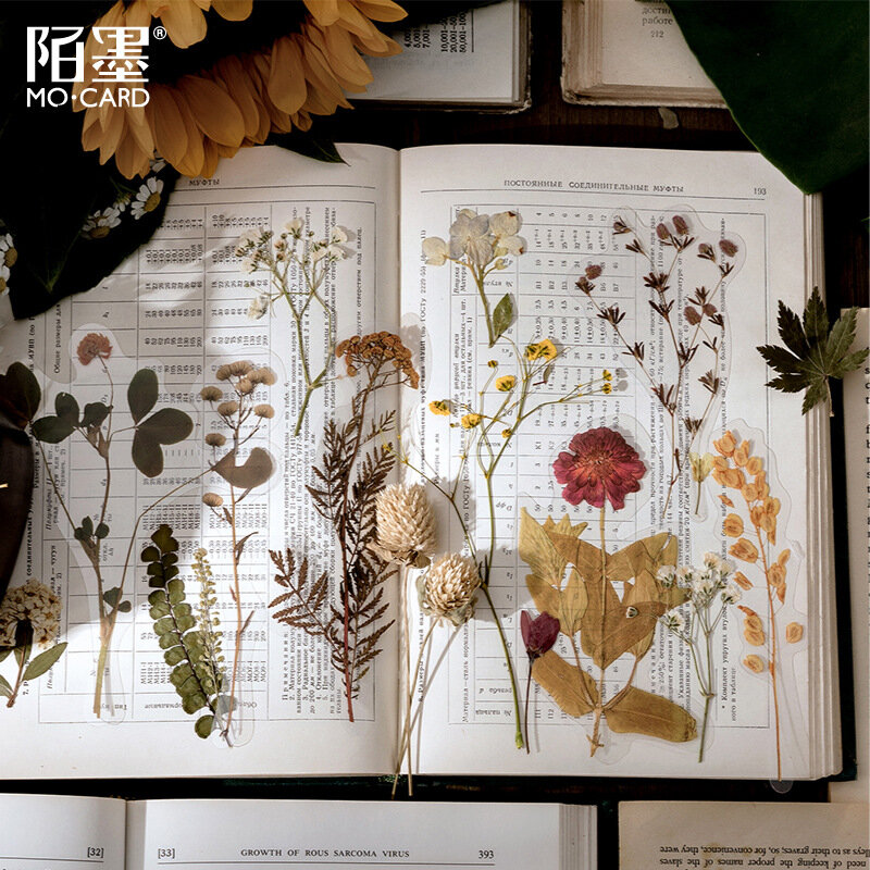 10 teile/beutel Vintage Pflanzengesundheits Serie Big PET Aufkleber DIY Tagebuch Junk Journal Dekoration Aufkleber Album Scrapbooking