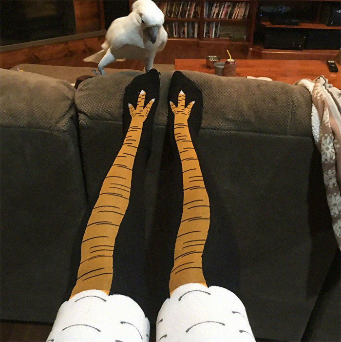 Engraçado frango pés meias frango pés padrão fitness roupas algodão meias brincadeira brincadeira brinquedos Halloween festa adereços jogar um truque